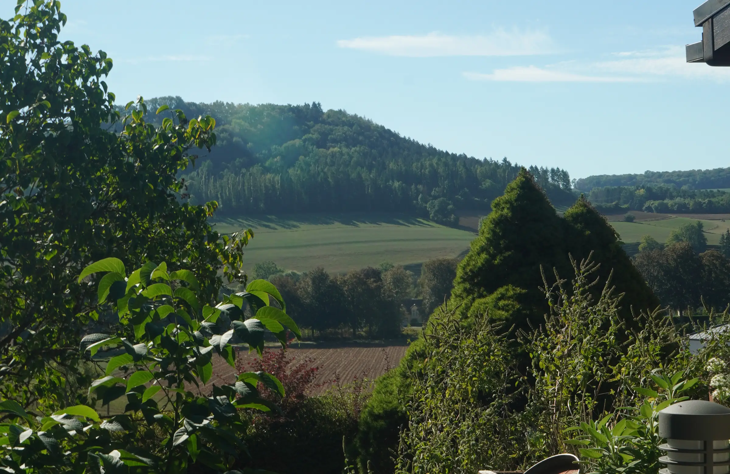 Les collines du nord du Luxembourg au-dessus de la vallée de la Sûre